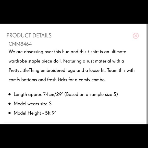 NEW PLT Pretty Little Thing - Rust Embroidered T-Shirt - MEDIUM - Picture 6 of 12